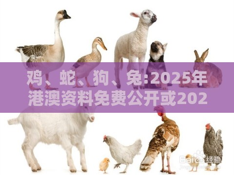 鸡、蛇、狗、兔:2025年港澳资料免费公开或2025芳草地资料大全免费正版释义-改进解答、专家解读解释与落实,抵制虚假渲染术