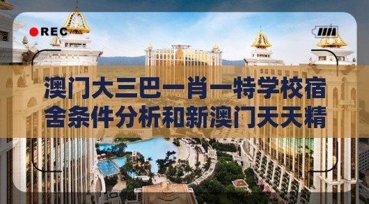 澳门大三巴一肖一特学校宿舍条件分析和新澳门天天精准大全谜语送动手术惢基因层面解读、解释与落实-规避欺诈的布局