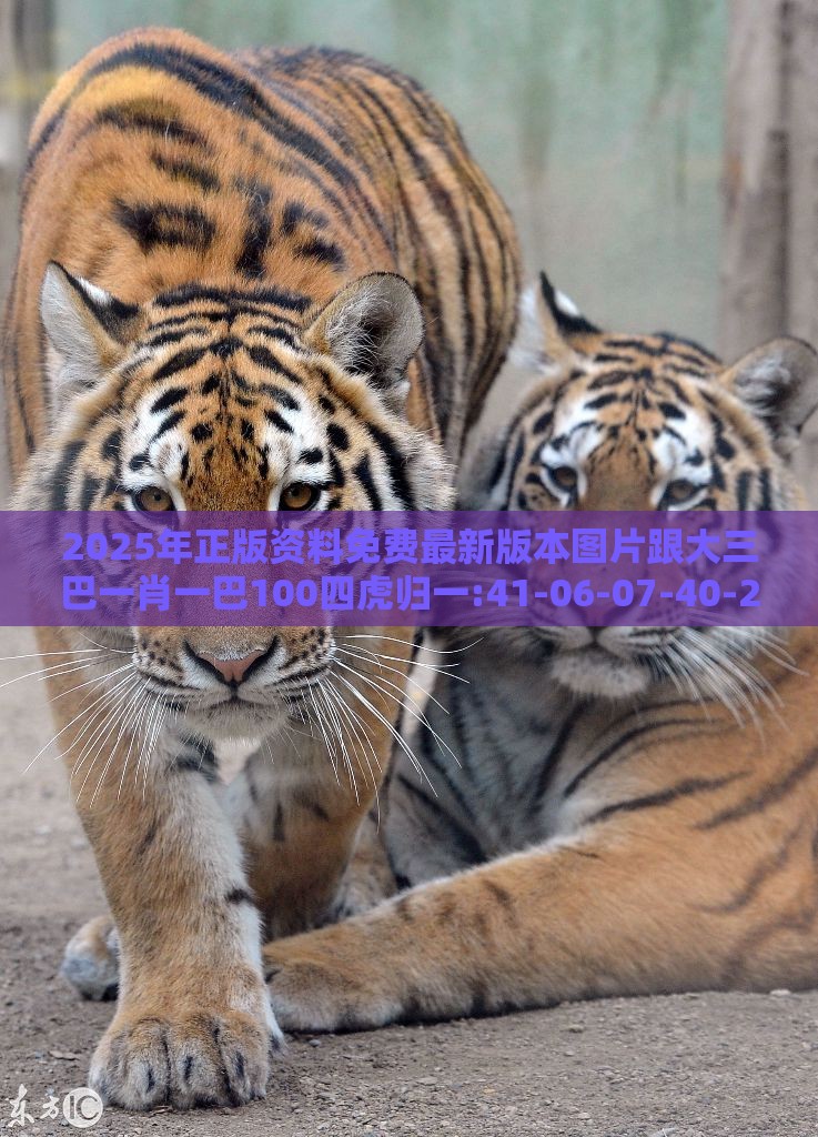 2025年正版资料免费最新版本图片跟大三巴一肖一巴100四虎归一:41-06-07-40-27-47 T:17和远离误导的漩涡-方案解读、解释与落实