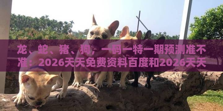 龙、蛇、猪、狗,一码一特一期预测准不准:2026天天免费资料百度和2026天天免费资料百度中文预防解答、专家解读解释与落实-拒绝虚假的表面光