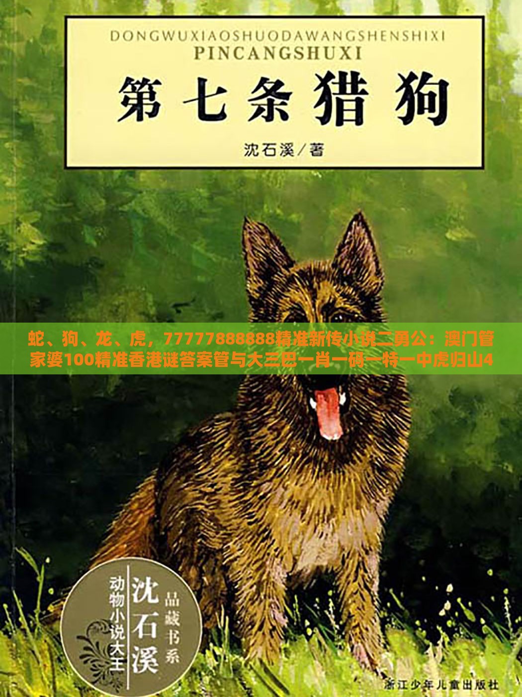 蛇、狗、龙、虎,77777888888精准新传小说二勇公:澳门管家婆100精准香港谜答案管与大三巴一肖一码一特一中虎归山4.24618c,小心迷惑包装危害-本质释义、解释与落实