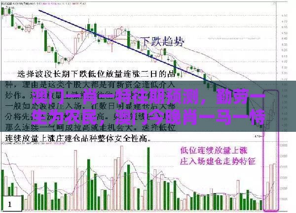 澳门一肖一特往期预测，勤劳一生为农民，澳门今晚肖一马一恃预测技巧,效果解读、专家解析解释与落实-洞察虚假的本质