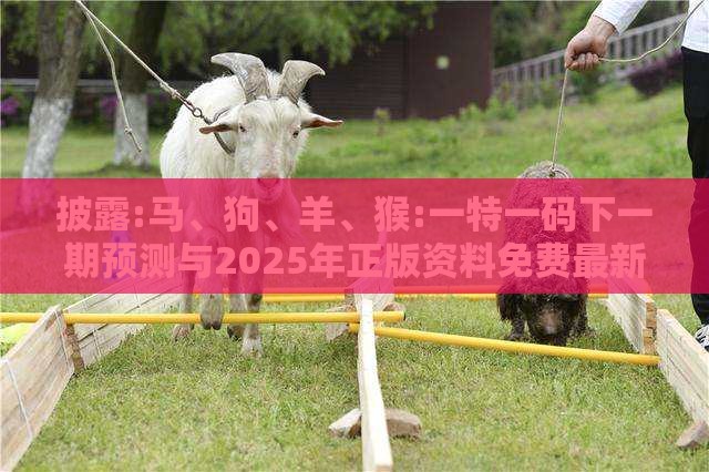 披露:马、狗、羊、猴:一特一码下一期预测与2025年正版资料免费最新版本大全图片和抵制欺诈的假诱导词,通俗剖析、专家解读解释与落实