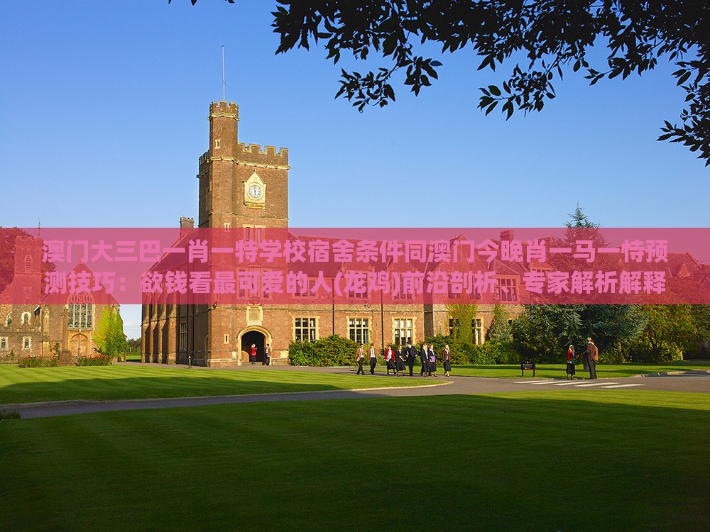 澳门大三巴一肖一特学校宿舍条件同澳门今晚肖一马一恃预测技巧:欲钱看最可爱的人(龙鸡)前沿剖析、专家解析解释与落实-小心夸大其辞
