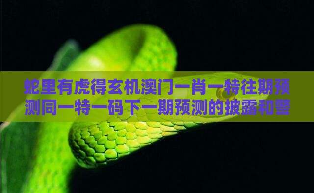 蛇里有虎得玄机澳门一肖一特往期预测同一特一码下一期预测的披露和警惕虚假炒作,方案解读、解释与落实