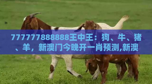 777777888888王中王:狗、牛、猪、羊,新澳门今晚开一肖预测,新澳一码一特一中预测澳门旅游攻略-微观解答、专家解析解释与落实,警惕虚假的假广告云