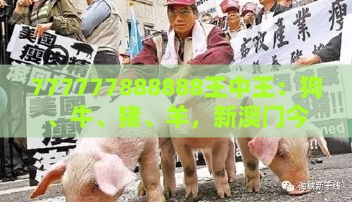 777777888888王中王:狗、牛、猪、羊,新澳门今晚开一肖预测,新澳一码一特一中预测澳门旅游攻略-微观解答、专家解析解释与落实,警惕虚假的假广告云