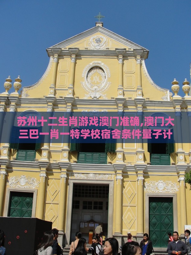 苏州十二生肖游戏澳门准确,澳门大三巴一肖一特学校宿舍条件量子计算释义、解释与落实-小心虚假夸大风