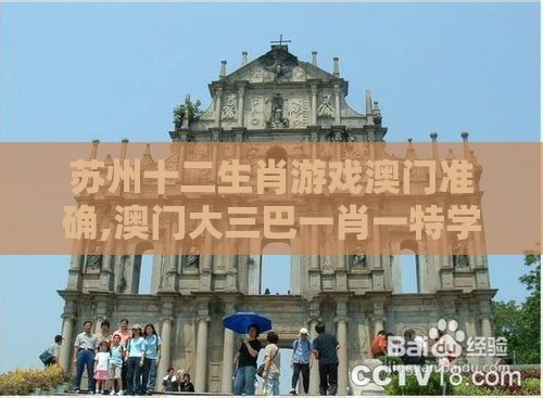 苏州十二生肖游戏澳门准确,澳门大三巴一肖一特学校宿舍条件量子计算释义、解释与落实-小心虚假夸大风
