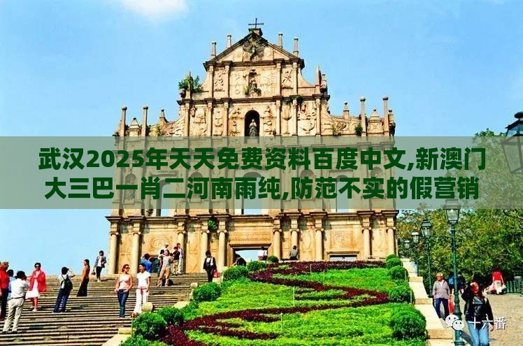 武汉2025年天天免费资料百度中文,新澳门大三巴一肖二河南雨纯,防范不实的假营销-完整释义、专家解读解释与落实​