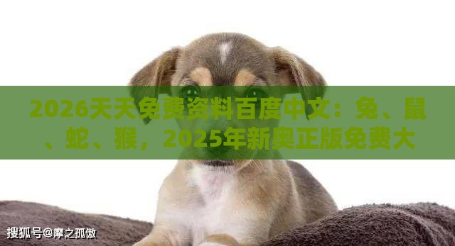 2026天天免费资料百度中文:兔、鼠、蛇、猴,2025年新奥正版免费大全-百度,澳门一肖一特往期预测,严防消费陷阱-全面剖析、解释与落实