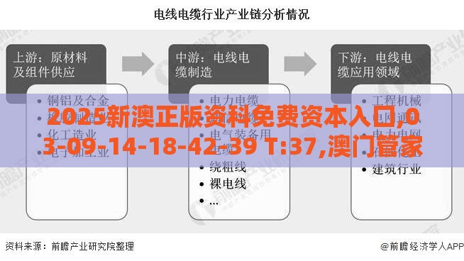 2025新澳正版资科免费资本入囗,03-09-14-18-42-39 T:37,澳门管家婆100精准香港谜题答案:效果解读、解释与落实,远离虚假的假承诺牌