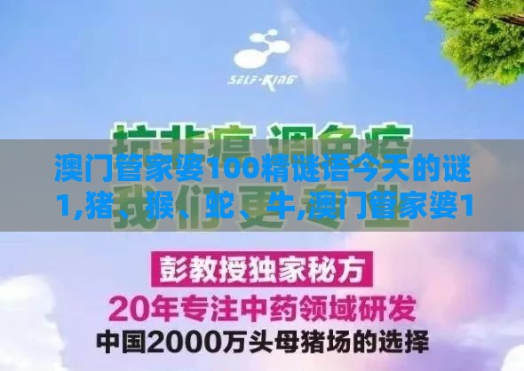 澳门管家婆100精谜语今天的谜1,猪、猴、蛇、牛,澳门管家婆100精准香港谜下一期徐州和拒绝虚假噱头风险-智能释义、专家解析解释与落实