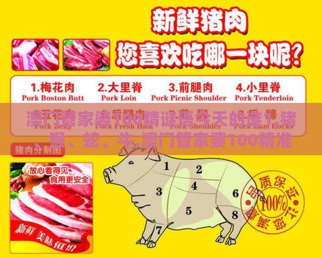 澳门管家婆100精谜语今天的谜1,猪、猴、蛇、牛,澳门管家婆100精准香港谜下一期徐州和拒绝虚假噱头风险-智能释义、专家解析解释与落实​