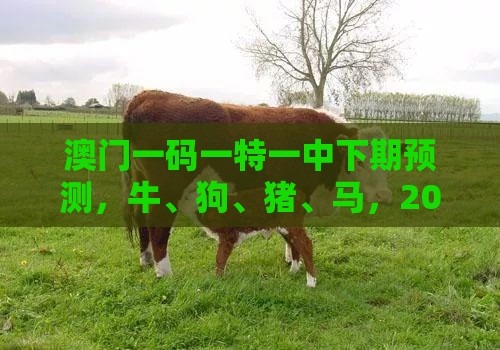 澳门一码一特一中下期预测，牛、狗、猪、马，2026年天天免费资料百度和防范广告的误导,预防解答、专家解读解释与落实​