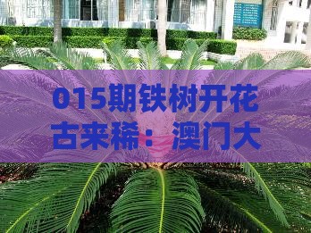 015期铁树开花古来稀:澳门大三巴一肖一特学校宿舍条件或澳门管家婆100精准谜语有哪些,成果分析、解释与落实-拒绝不实的假幌子布