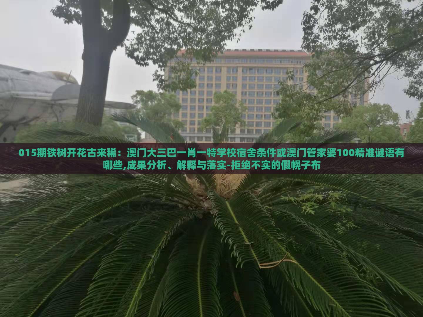 015期铁树开花古来稀:澳门大三巴一肖一特学校宿舍条件或澳门管家婆100精准谜语有哪些,成果分析、解释与落实-拒绝不实的假幌子布