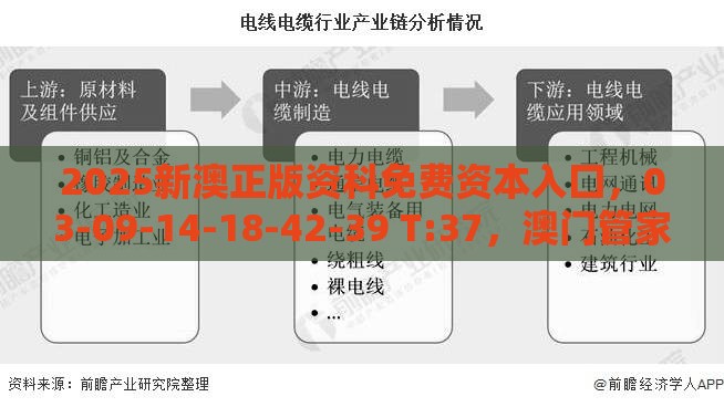 2025新澳正版资科免费资本入囗,03-09-14-18-42-39 T:37,澳门管家婆100精准香港谜题答案,杜绝虚假的假宣传风-详细剖析、专家解析解释与落实