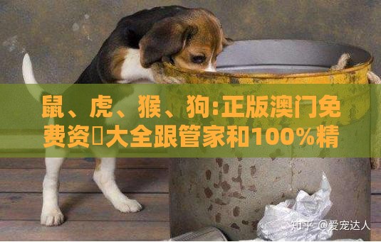 鼠、虎、猴、狗:正版澳门免费资枓大全跟管家和100%精准谜语怎么解-效果解读、专家解读解释与落实,抵制不实承诺危害