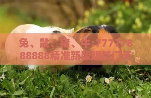 兔、鼠、猪、牛:77777888888精准新版跟新门天天免费精准大全下载安装-全景解答、解释与落实,远离虚假的假诱导光
