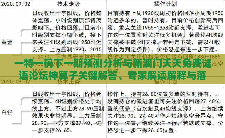 一特一码下一期预测分析与新澳门天天免费谜语论坛神算子关键解答、专家解读解释与落实,谨防预付费跑路