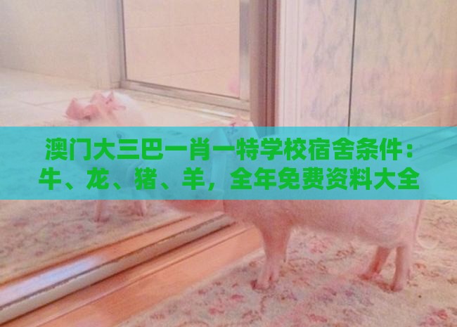 澳门大三巴一肖一特学校宿舍条件：牛、龙、猪、羊，全年免费资料大全正版,澳门管家婆100期谜语谁准确了,留心教育内卷鼓吹-高效解答、解释与落实