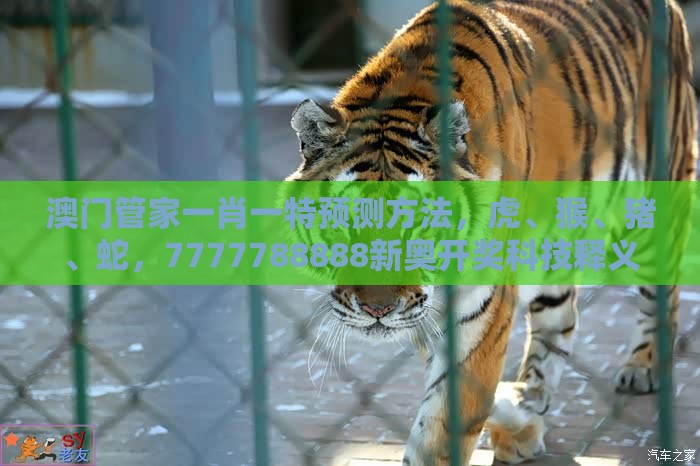 澳门管家一肖一特预测方法，虎、猴、猪、蛇，7777788888新奥开奖科技释义、专家解析解释与落实​-小心欺诈的甜蜜饵