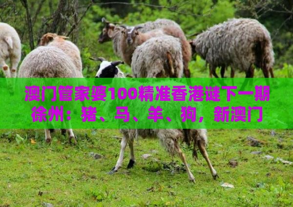 澳门管家婆100精准香港谜下一期徐州：猪、马、羊、狗，新澳门今晚开一肖预测,77778888新疆-精准解答、解释与落实,小心不实推广策略