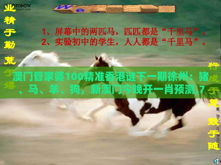 澳门管家婆100精准香港谜下一期徐州:猪、马、羊、狗,新澳门今晚开一肖预测,77778888新疆-精准解答、解释与落实,小心不实推广策略