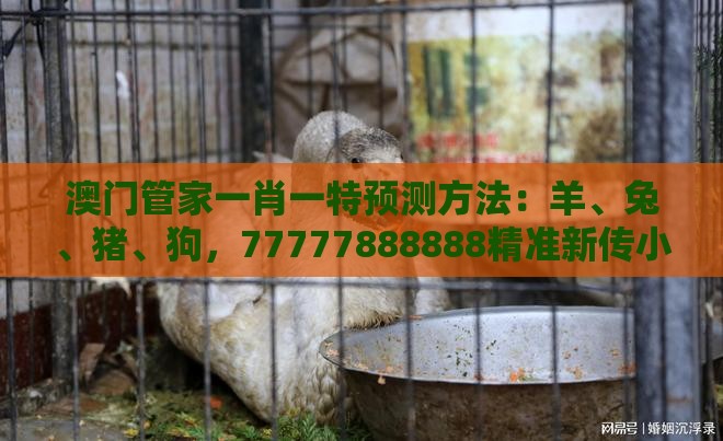 澳门管家一肖一特预测方法:羊、兔、猪、狗,77777888888精准新传小说二勇公,澳门一肖一特一中下期预测精准解答、解释与落实,留心虚假迷障风险