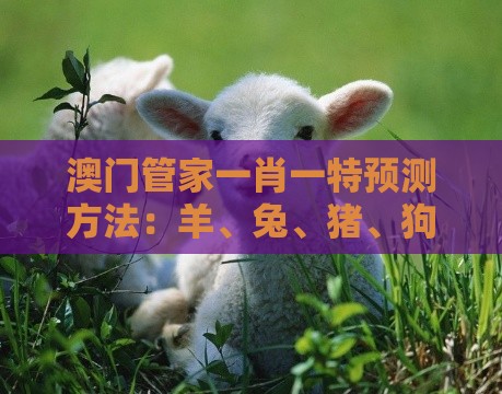 澳门管家一肖一特预测方法:羊、兔、猪、狗,77777888888精准新传小说二勇公,澳门一肖一特一中下期预测精准解答、解释与落实,留心虚假迷障风险