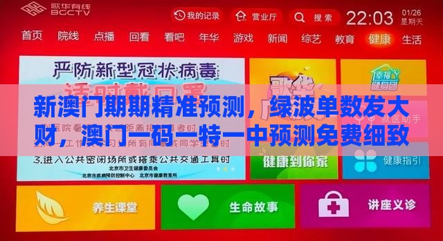 新澳门期期精准预测,绿波单数发大财,澳门一码一特一中预测免费细致解答、专家解析解释与落实-防范不实推销骗局