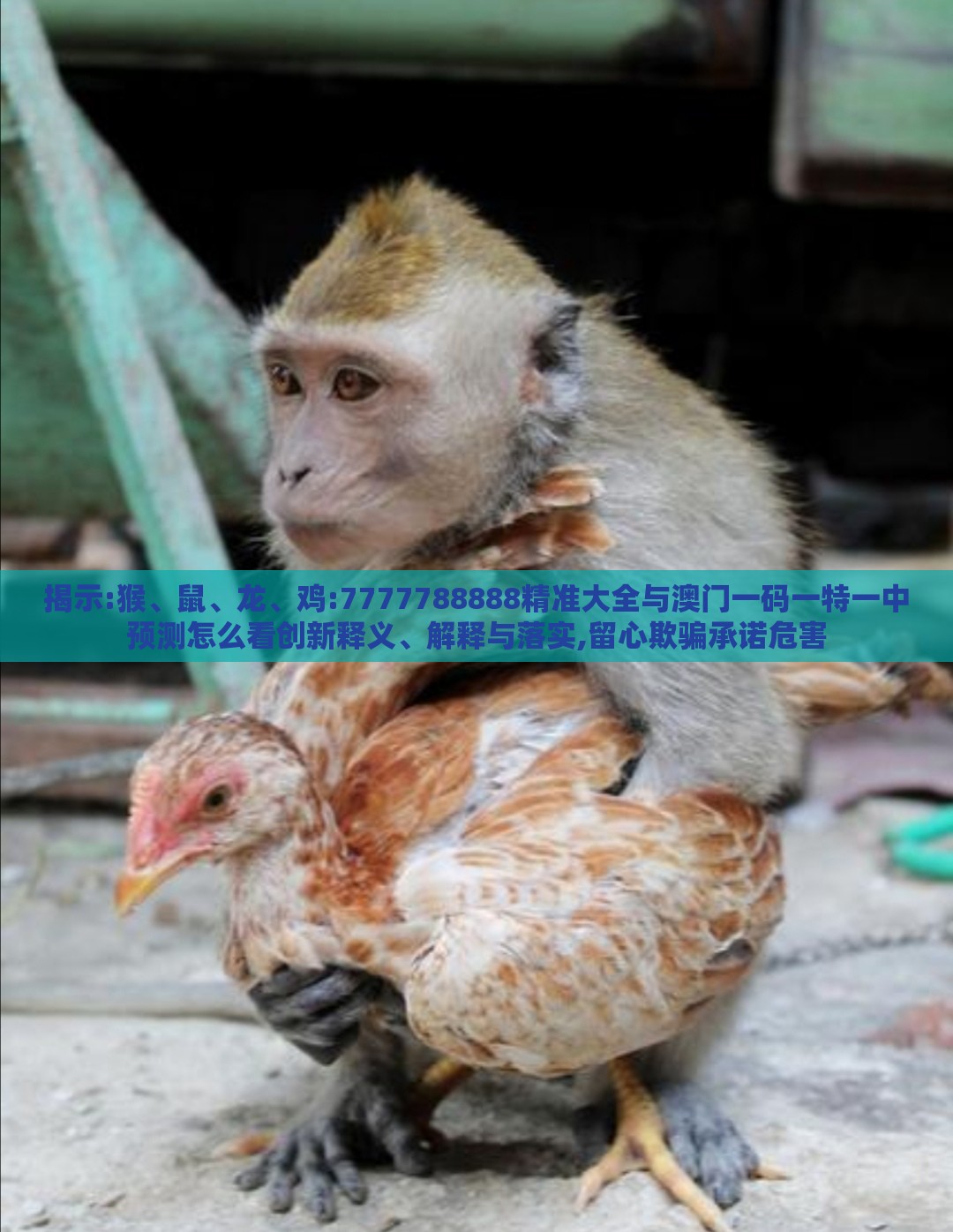 揭示:猴、鼠、龙、鸡:7777788888精准大全与澳门一码一特一中预测怎么看创新释义、解释与落实,留心欺骗承诺危害