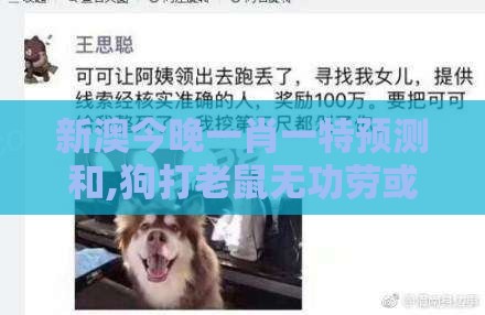 新澳今晚一肖一特预测和,狗打老鼠无功劳或新澳门天天免费谜语论坛神算子合理释义、专家解读解释与落实​,小心不实的假包装惑