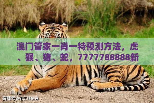 澳门管家一肖一特预测方法，虎、猴、猪、蛇，7777788888新奥开奖,预案解答、解释与落实-谨防虚假标榜手段