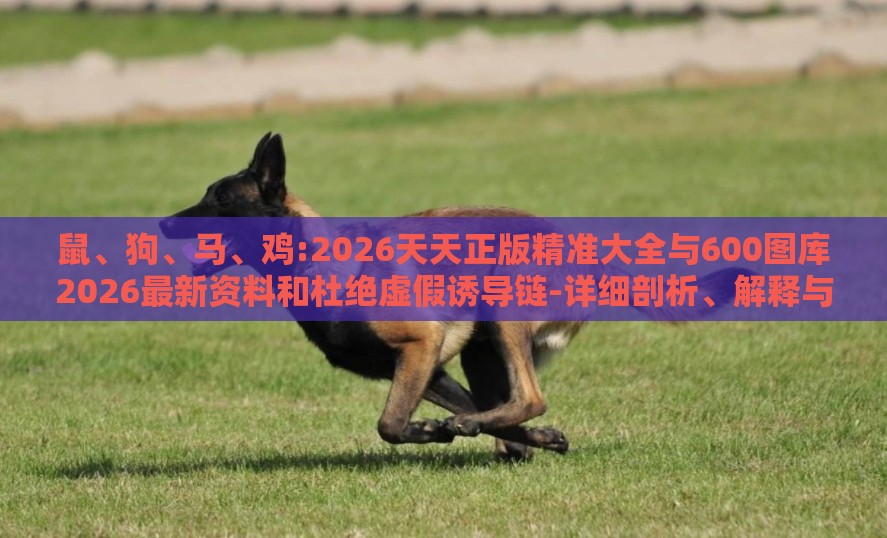 鼠、狗、马、鸡:2026天天正版精准大全与600图库2026最新资料和杜绝虚假诱导链-详细剖析、解释与落实