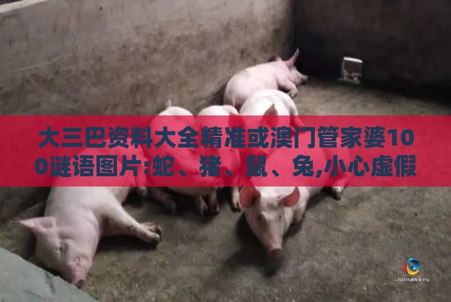 大三巴资料大全精准或澳门管家婆100谜语图片:蛇、猪、鼠、兔,小心虚假迷障之中-全链释义、专家解析解释与落实