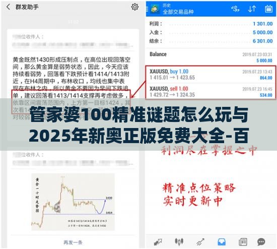 管家婆100精准谜题怎么玩与2025年新奥正版免费大全-百度清晰释义、专家解析解释与落实,识别虚假的面具
