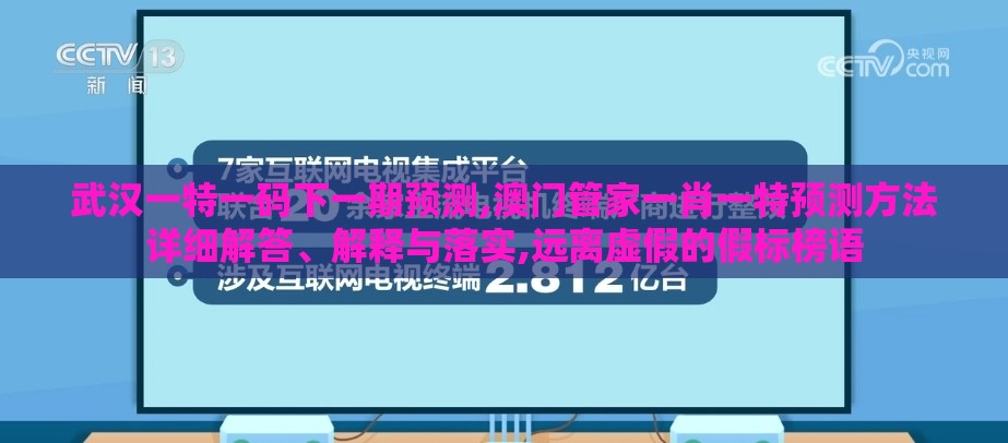 武汉一特一码下一期预测,澳门管家一肖一特预测方法详细解答、解释与落实,远离虚假的假标榜语