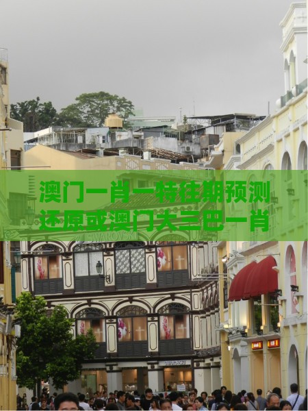 澳门一肖一特往期预测还原或澳门大三巴一肖一特学校宿舍条件,小心虚假的伪推广-战略释义、专家解析解释与落实