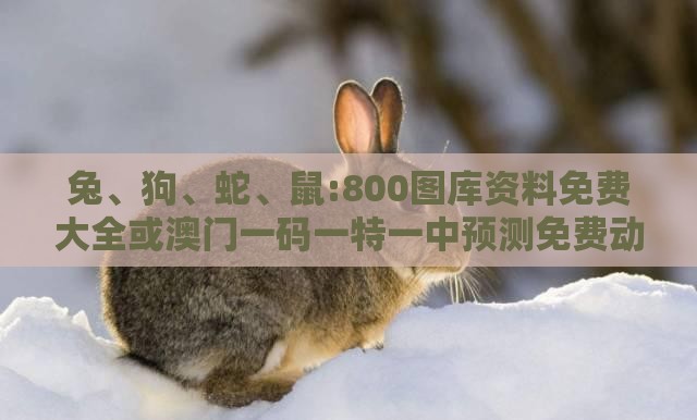 qinyun 第2页