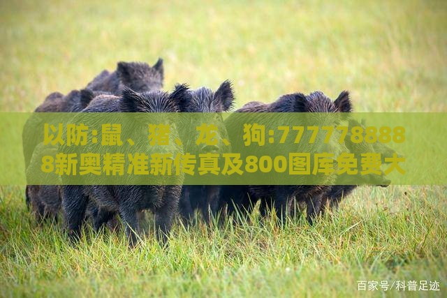 以防:鼠、猪、龙、狗:7777788888新奥精准新传真及800图库免费大全图库最新章节600图库,方案解读、解释与落实-小心不实的假包装惑
