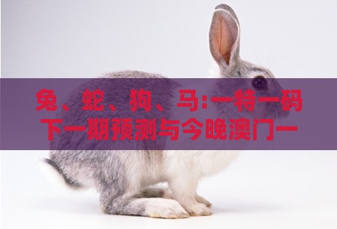 兔、蛇、狗、马:一特一码下一期预测与今晚澳门一肖一特预测技巧:专业释义、解释与落实,小心虚假的伪推广