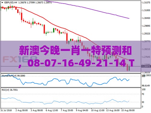 新澳今晚一肖一特预测和，08-07-16-49-21-14 T:35，澳门管家婆100谜语往期条理释义、专家解读解释与落实​-警惕夸张幌子背后