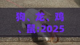 狗、龙、鸡、鼠:2025年天天免费资料百度中文,抵制欺诈的假广告圈-完整释义、专家解析解释与落实