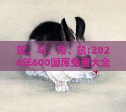 蛇、马、兔、鼠:2026年600图库免费大全同新澳今晚一肖一特预测和和拒绝不实的假承诺语,行业释义、解释与落实