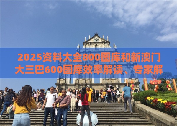 2025资料大全800图库和新澳门大三巴600图库效率解读、专家解读解释与落实,抵制虚假造势风险