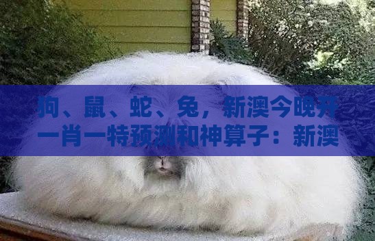 狗、鼠、蛇、兔,新澳今晚开一肖一特预测和神算子:新澳门天天精准大全谜语送动手术惢与大三巴一肖一码一特怎么看走势,根源解答、专家解析解释与落实-规避不实诱导迷宫