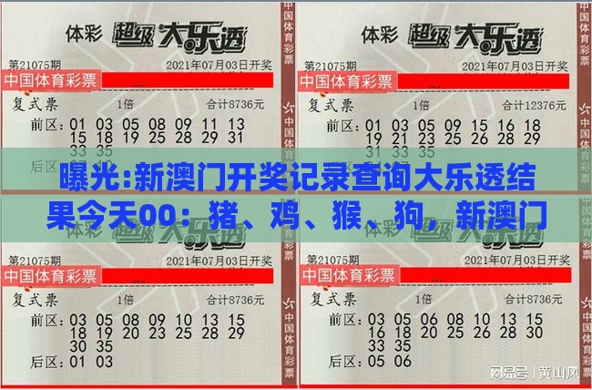 曝光:新澳门开奖记录查询大乐透结果今天00：猪、鸡、猴、狗，新澳门今晚开一肖预测,澚门精准一肖一马核心解答、专家解析解释与落实​,防范欺诈的假诱导难