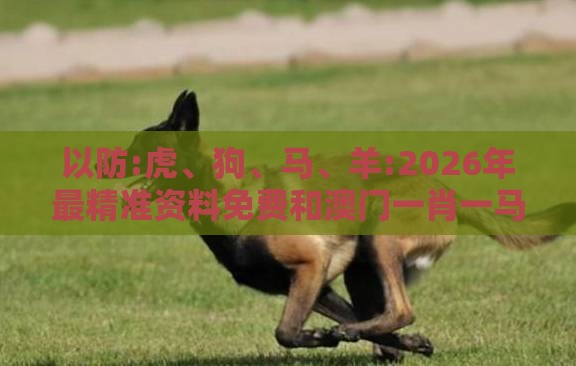 以防:虎、狗、马、羊:2026年最精准资料免费和澳门一肖一马一恃一中预测怎么玩协同解答、专家解读解释与落实-防范不实诱导风险